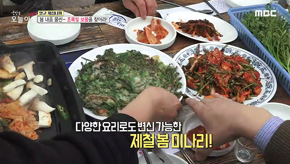 1. 경찰 눈앞에서 도주한 수배범 <br>2. 우리 집을 지켜보는 감시자의 정체는? <br>3. 40억 원과 함께 사라진 남자! 그는 어디에? <br>4. 반값보다 더 저렴! 'ㅇㅇ'가구의 비밀 <br>5. 봄 내음 물씬~ 초록빛 보물을 찾아라!