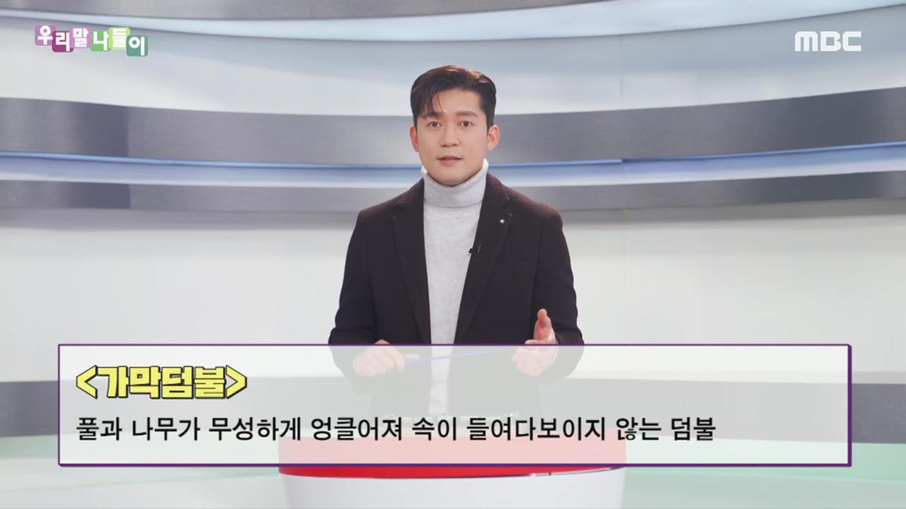 플레이어