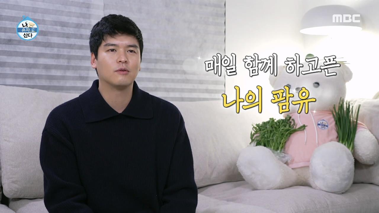 플레이어