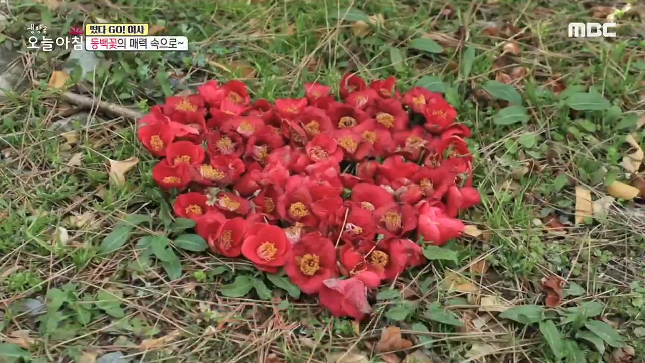 플레이어