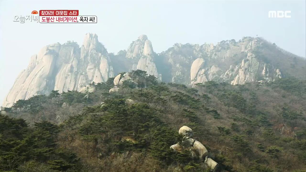 플레이어