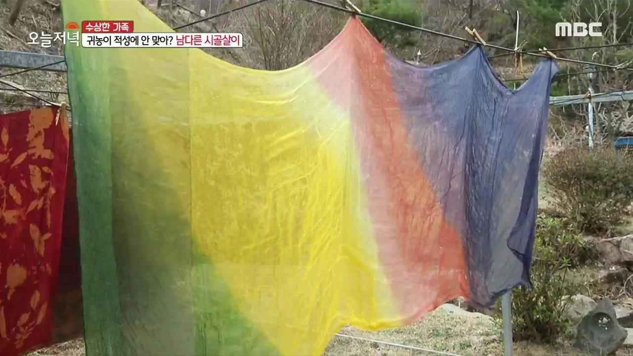 플레이어