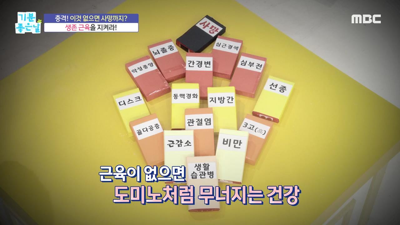 플레이어