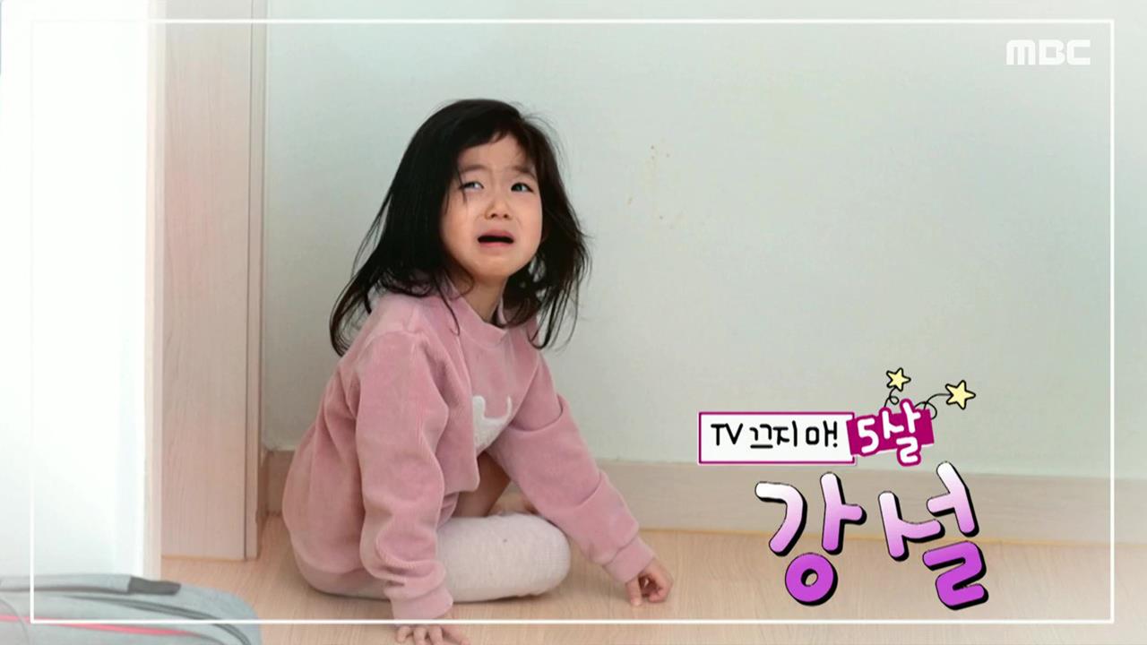 플레이어
