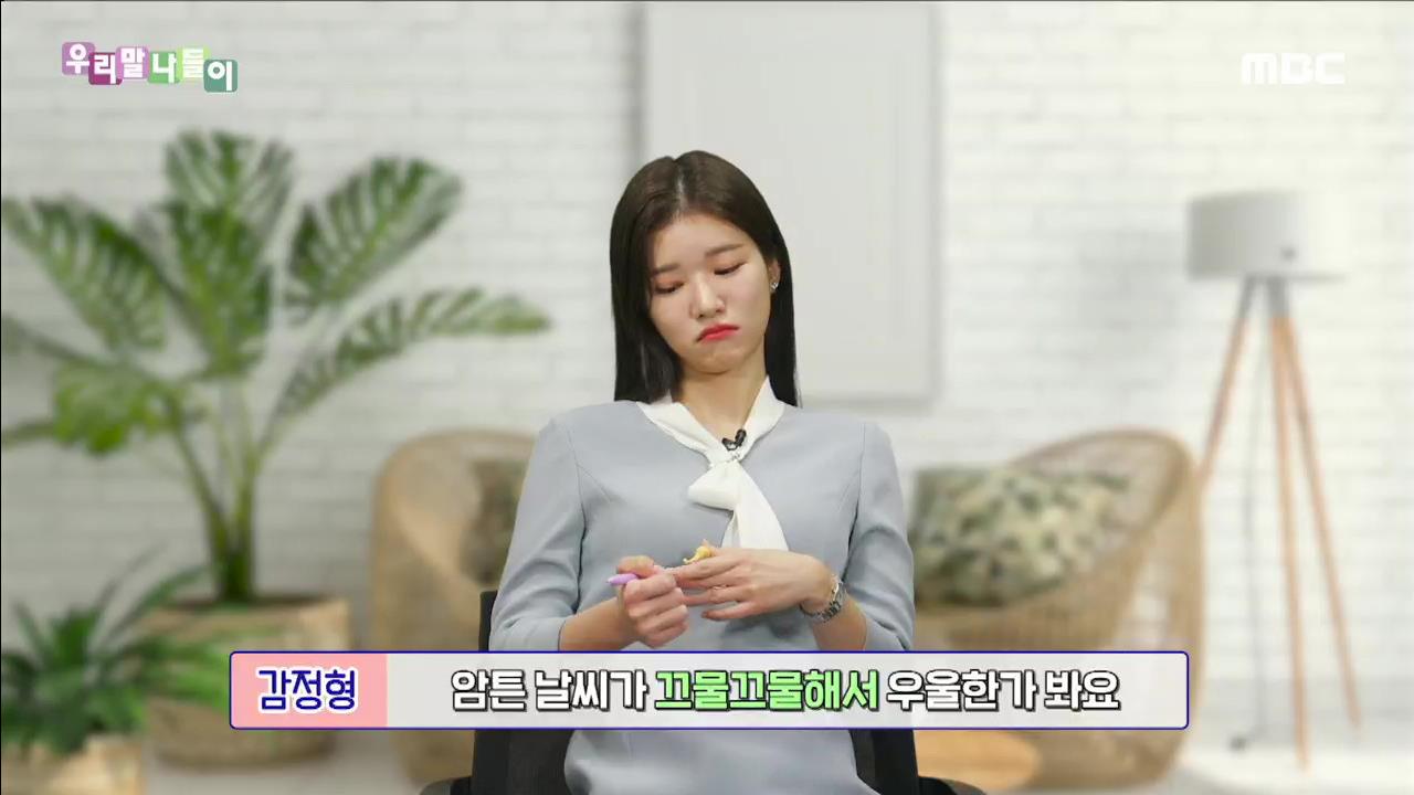 플레이어