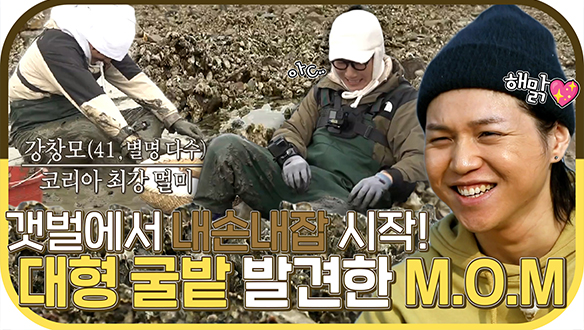 [기획영상] 천상 도시남🤭지석진과 코리아 최강 허세남 KCM🤣만화남 원슈타인의 대형 굴밭 정복기!✨ 클립