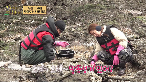 [선공개] "오빠 오빠 성게 있어?" 신지X김종민, 돌 사이에 껴있는 말똥성게 찾기🧐 클립