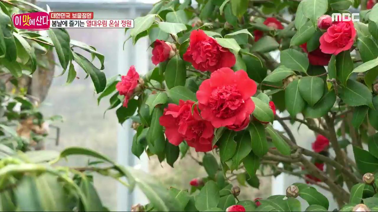 플레이어
