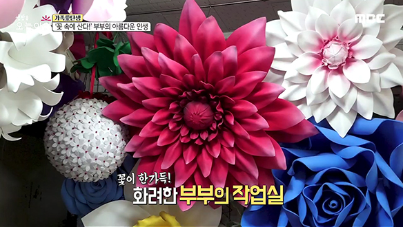 1. 야산에 나타난 '타짜'?! 억대 도박판 단속 현장! <br>2. '꽃 속에 산다!' 부부의 아름다운 인생 <br>3. 매콤고소! 전 세계 입맛 잡은 특급 레시피는?