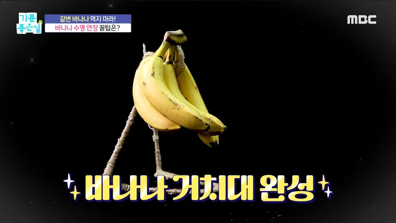 플레이어