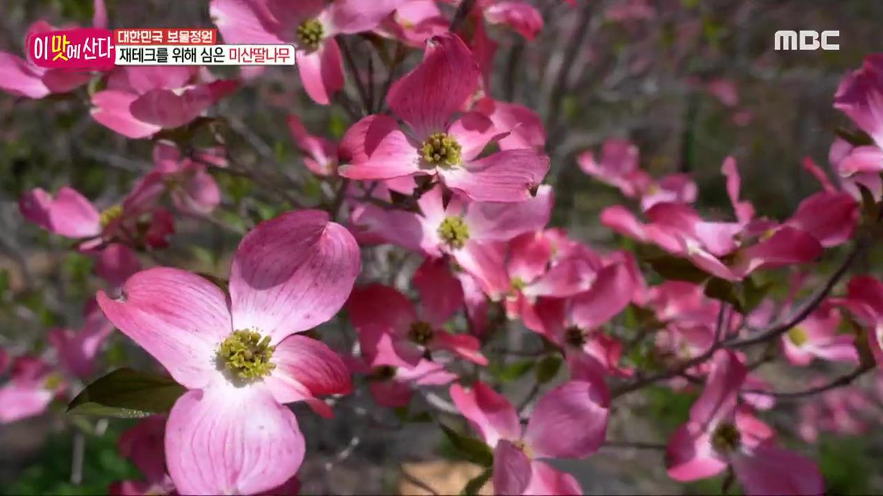 플레이어