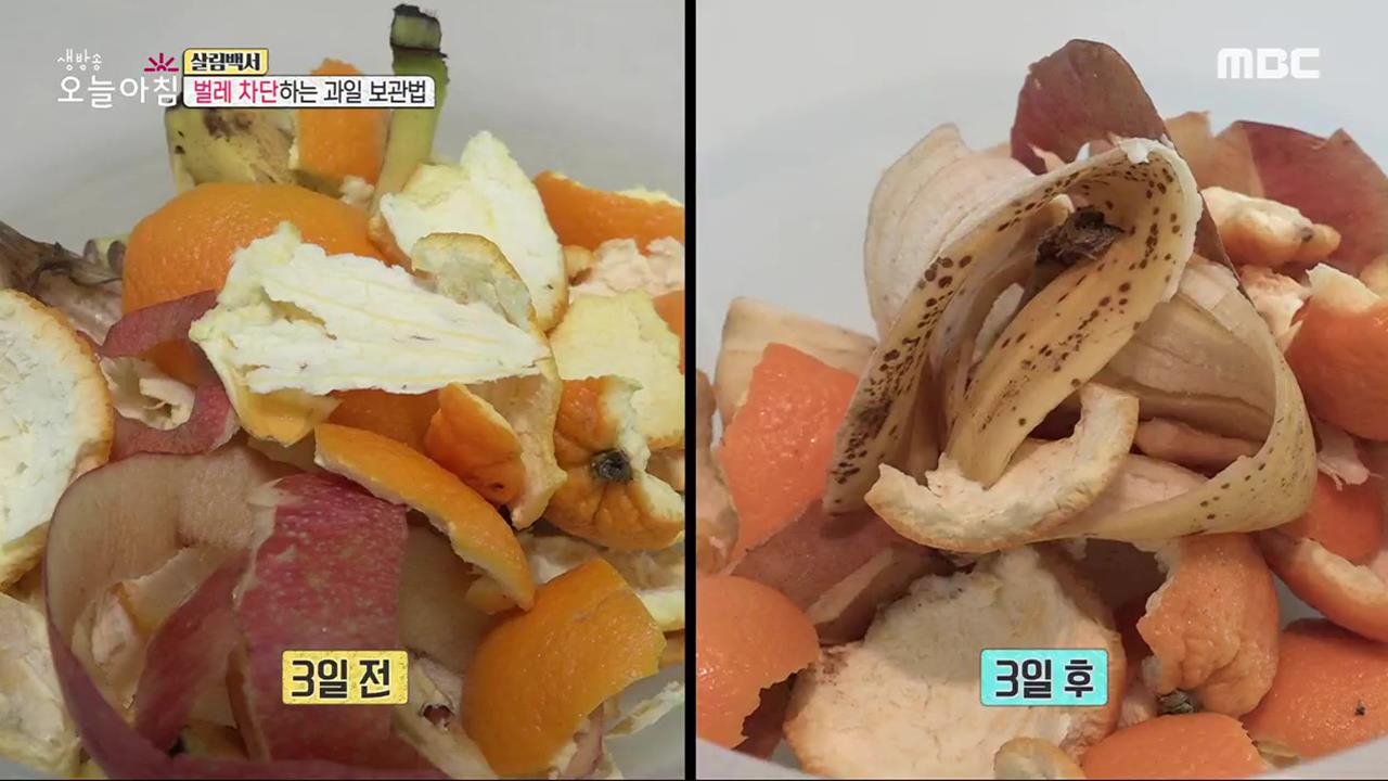 플레이어