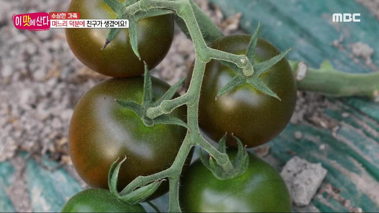 플레이어