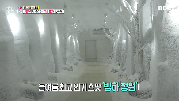 1. “전쟁난 줄...” 경계경보 오발령 소동 <br>2. 우리 집 수도에서 검은 알갱이가?! <br>3. 아파트를 울리는 기괴한 소리, 정체는? <br> 4. 따로 또 함께~ 지리산 '따혼' 부부 <br>5. 무더위 날리는 이색 휴가, 이곳에서 즐겨라!