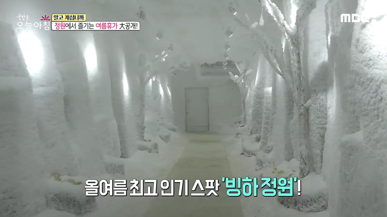 플레이어