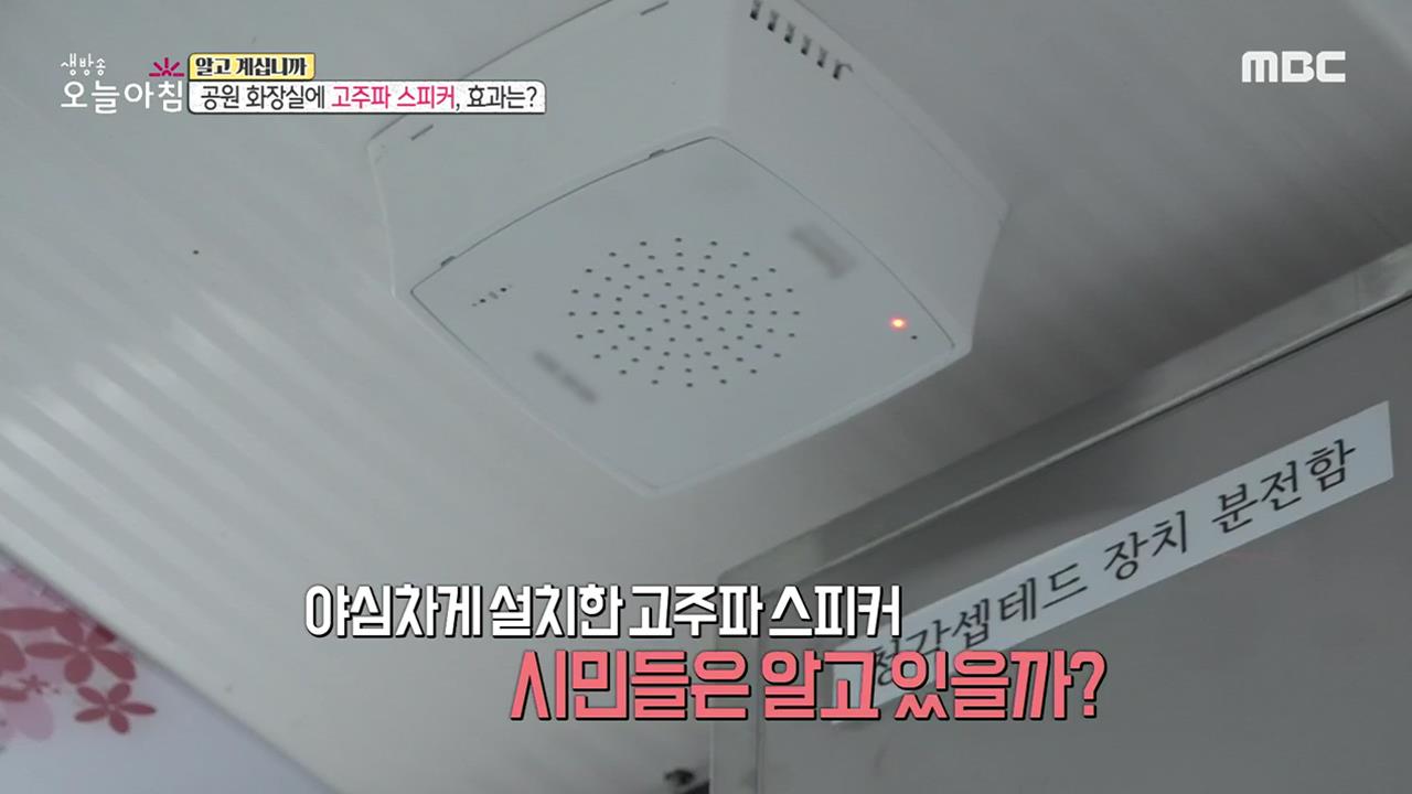 플레이어