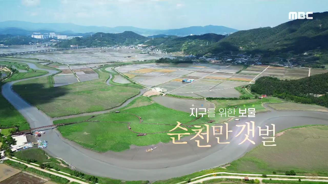 플레이어
