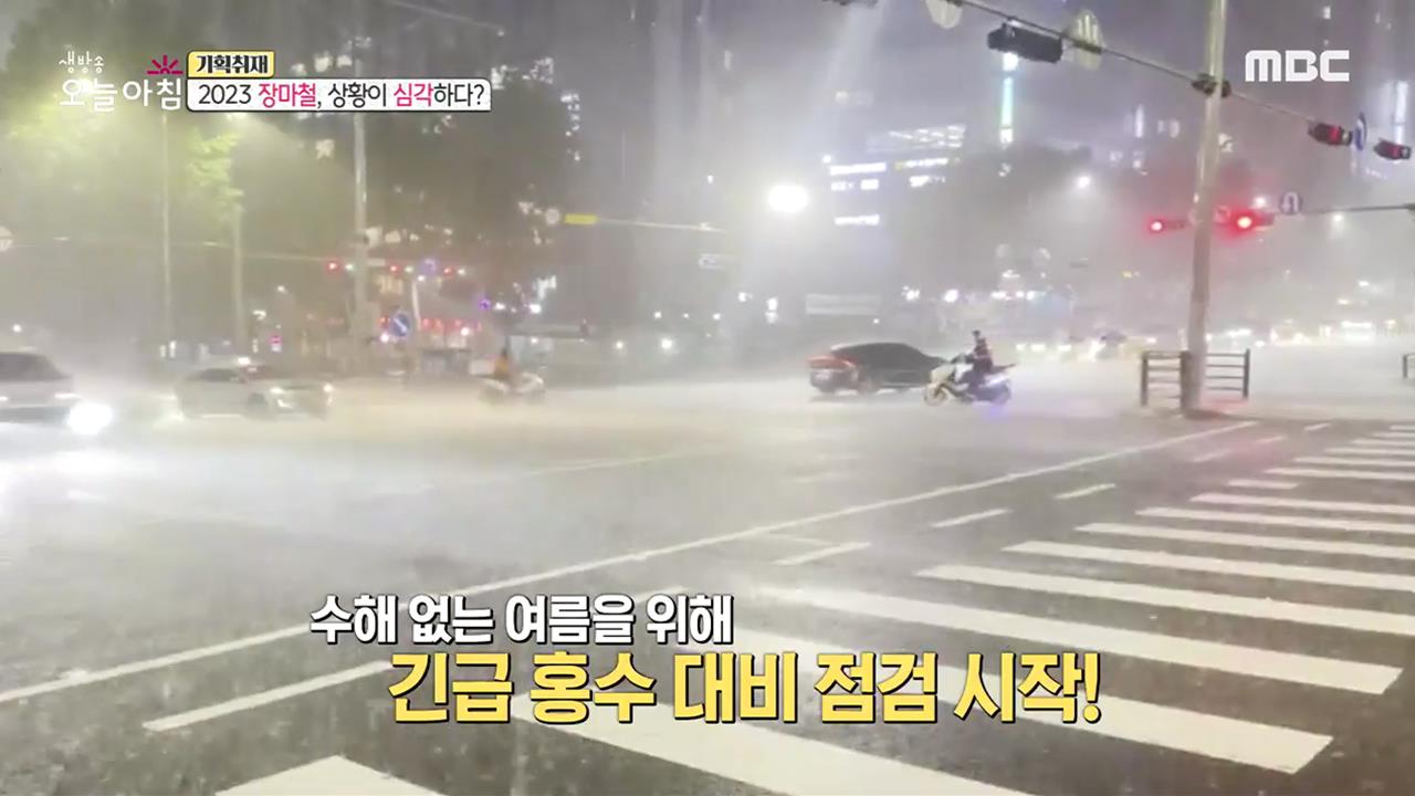 플레이어
