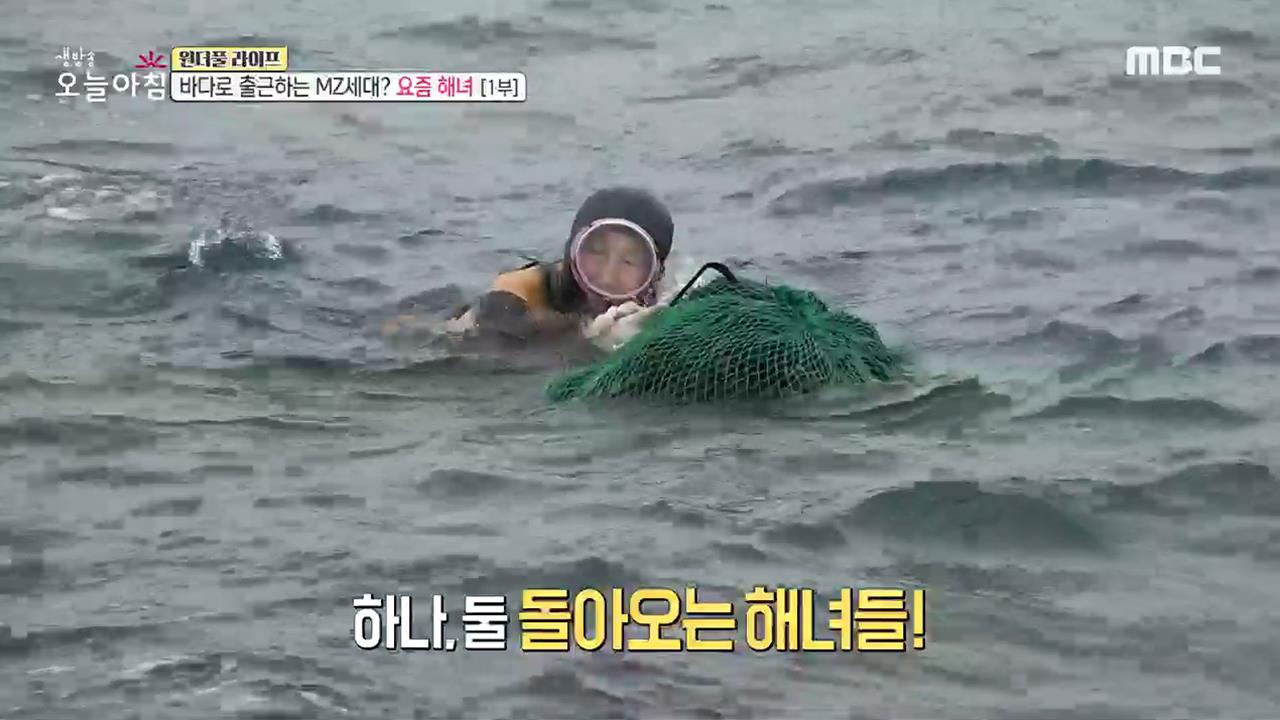 플레이어