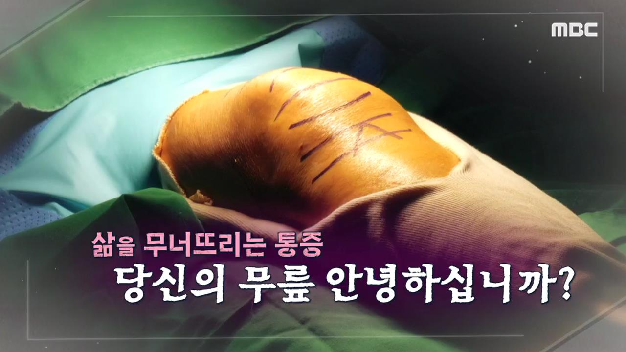 플레이어