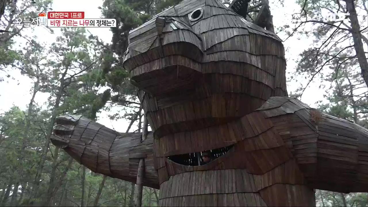 플레이어