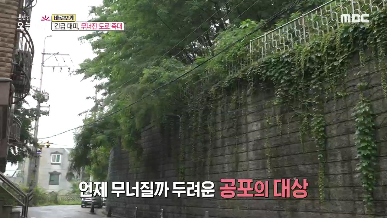 플레이어