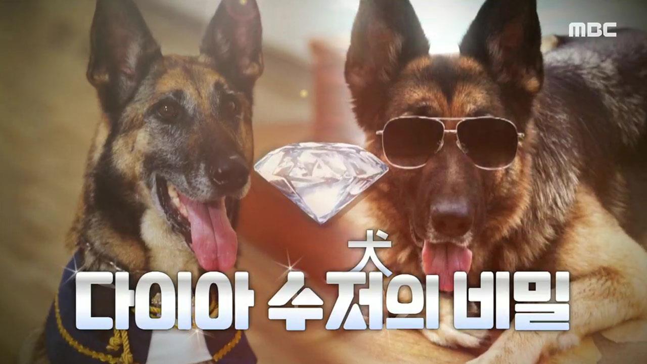 플레이어