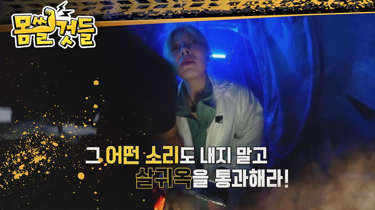 플레이어