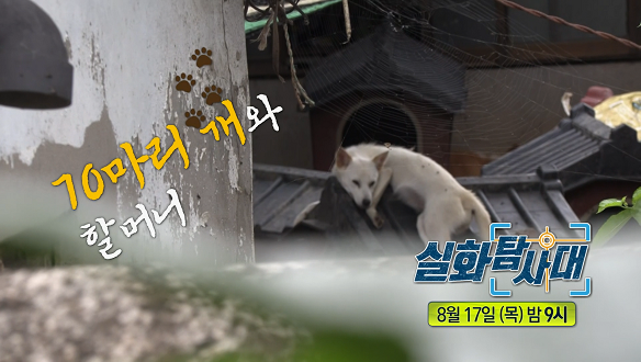 실화탐사대 229회 예고