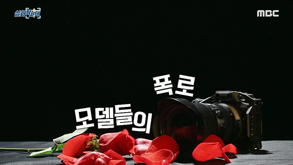 [ 첫 번째 실화 ] 모델들의 폭로 <br>[ 두 번째 실화 ] 70마리 개들과 할머니