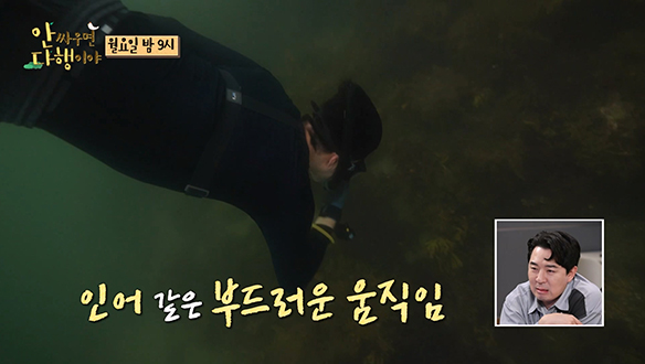 [선공개] 부력을 거스르는 잠수🏊 해루질 블랙리스트 정호영 셰프...💦 '나도 하고 싶어요 잠수' 클립