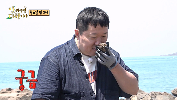 [선공개] 천연 디퓨저 소라?! 소라 똥으로 옥신각신하는 정형돈X황제성 "왜 안 먹냐고 🔥" 클립