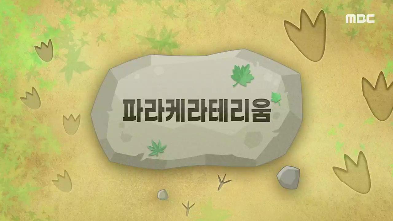 플레이어