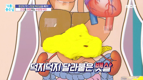 쎈 언니와 프린스의 퀵 동안 비법