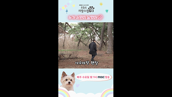 [쇼츠] 조카한테 몸통 박치기 당해서 날라간 우리 은우🤣 클립