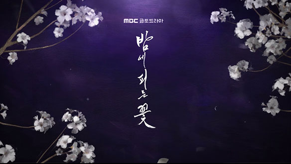 [오프닝 타이틀] 이하늬표 코믹액션사극 '밤에 피는 꽃'  클립