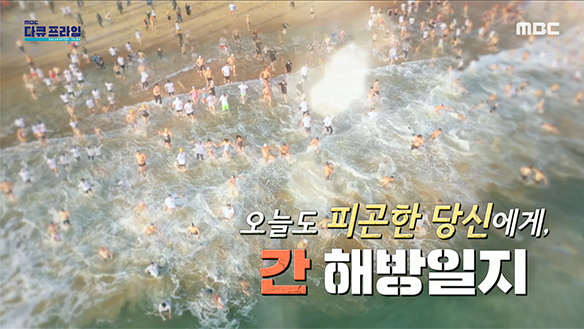 오늘도 피곤한 당신에게, 간 해방일지