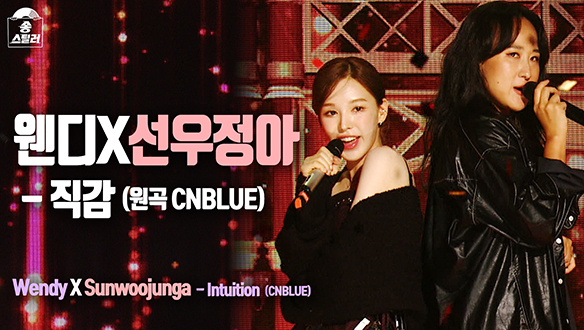 [직캠] 웬디X선우정아 - 직감 (원곡 CNBLUE), 선우정아 직캠 클립