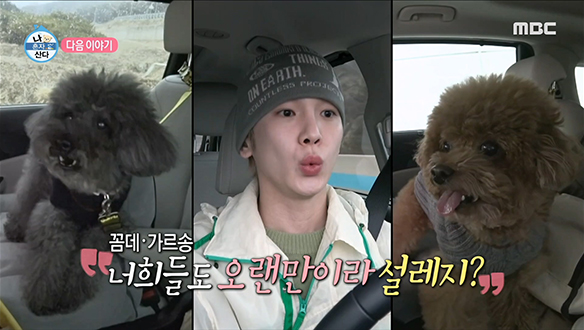 나 혼자 산다 537회 예고