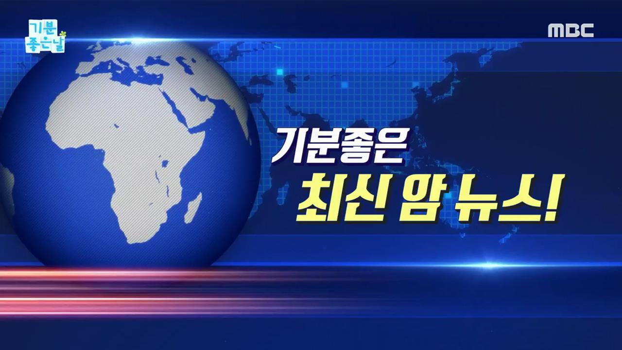 플레이어