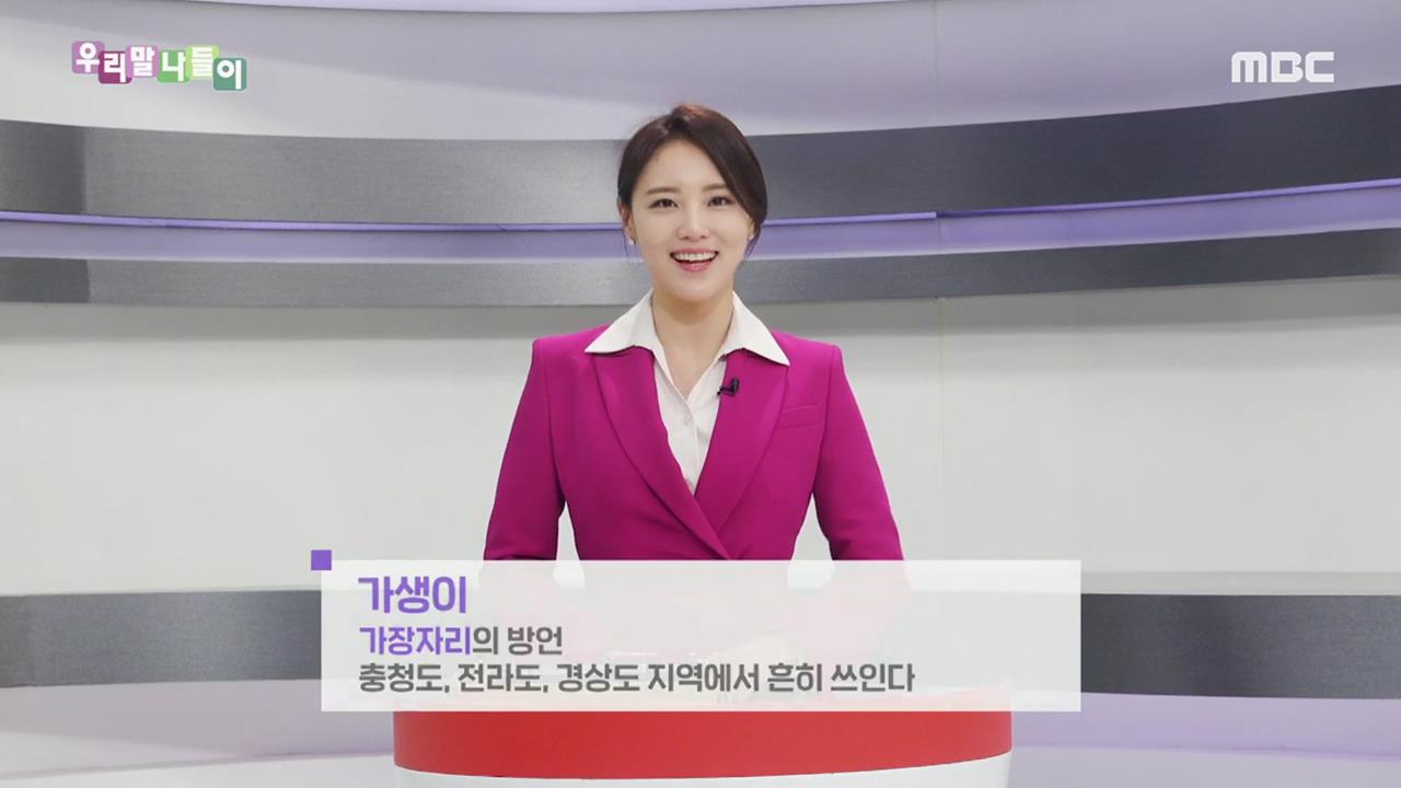 플레이어