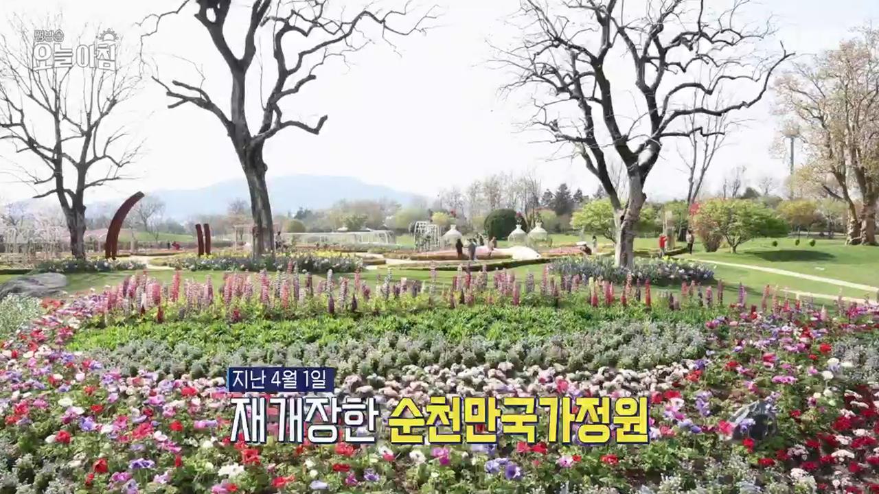 생방송 오늘 아침 4422회 재방송 다시보기 생방송 오늘 아침 4422회 재방송 다시보기