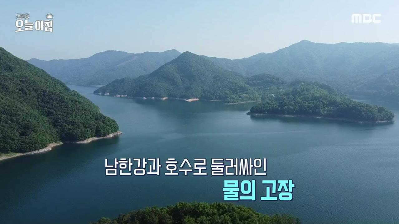 플레이어