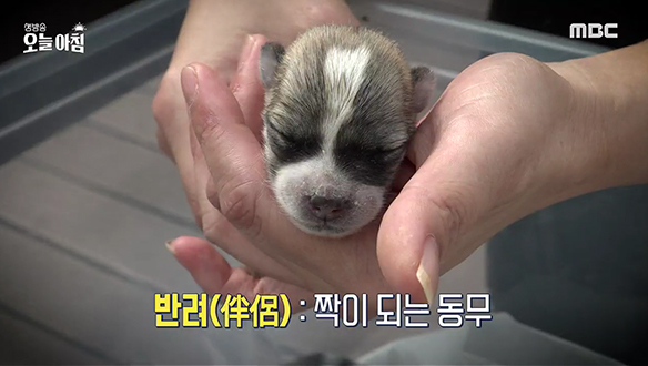 1. 직장 내 괴롭힘, 의혹 VS 해명 <br>2. 조심 또 조심! <br>3. 여름 Hi~ 지방 Bye! <br>4. 생활 법률, 이건 몰랐죠?