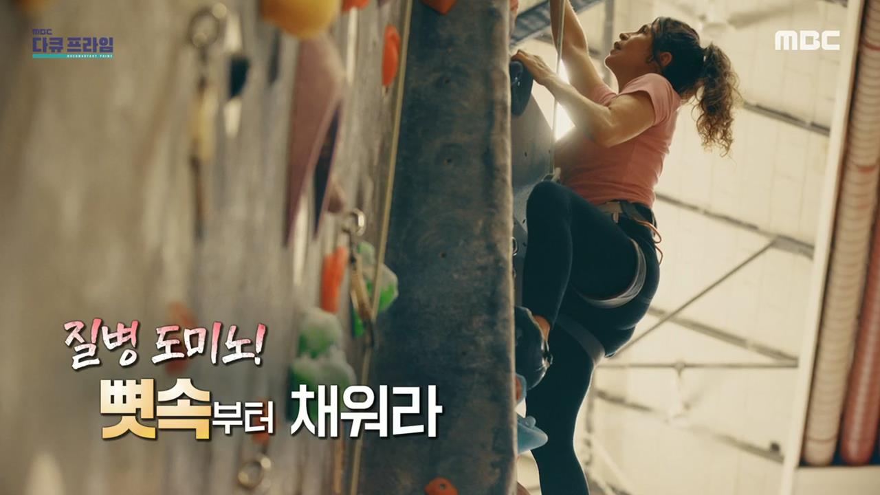 플레이어