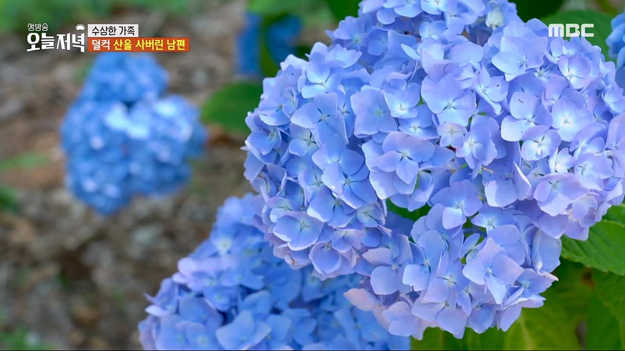 메뉴만 17가지! 5성급 호텔 출신 셰프가 차린 6,500원 한식 뷔페 | 핫클립 | 오늘N | 만나면 좋은 친구 MBC