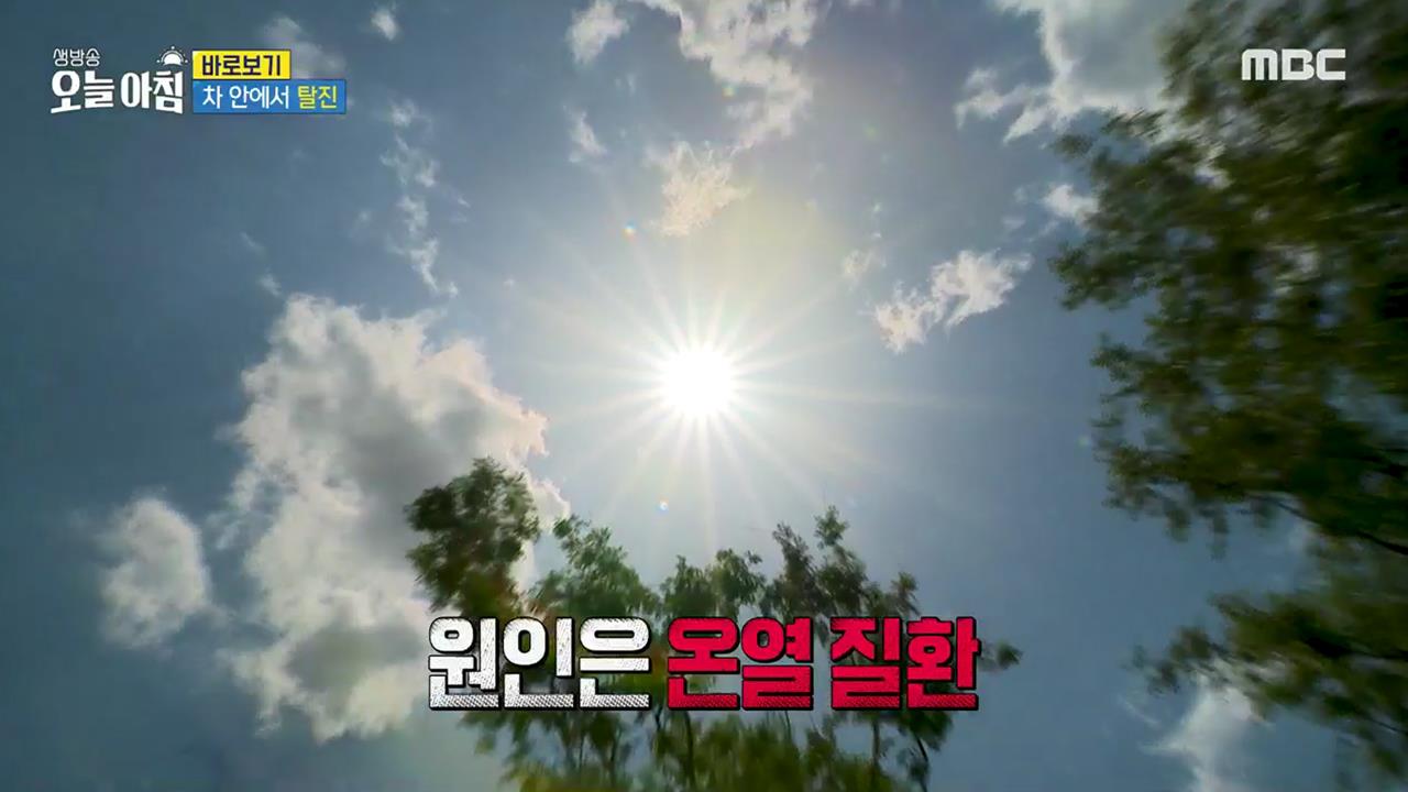 생방송 오늘 아침 4445회 재방송 다시보기 생방송 오늘 아침 4445회 재방송 다시보기
