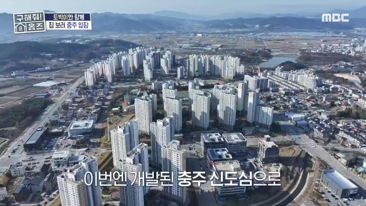 플레이어