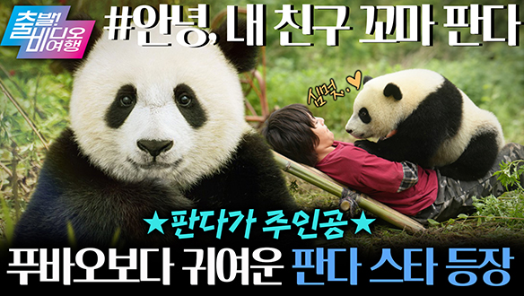 후이루이만큼 귀여운 판다 스타 등장!┃안녕, 내 친구 꼬마 판다 클립