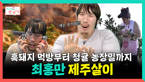 [기획영상] 흑돼지 먹방부터 청귤 농장일까지, 최홍만의 제주살이🍊 클립
